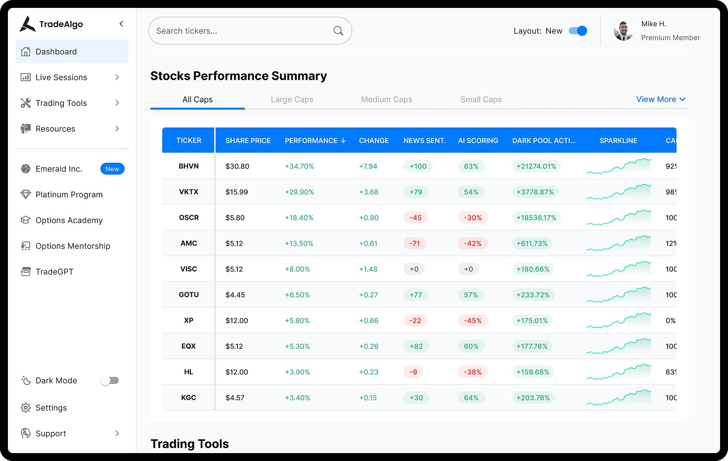 Web Stocks Performance Summary table with many columns