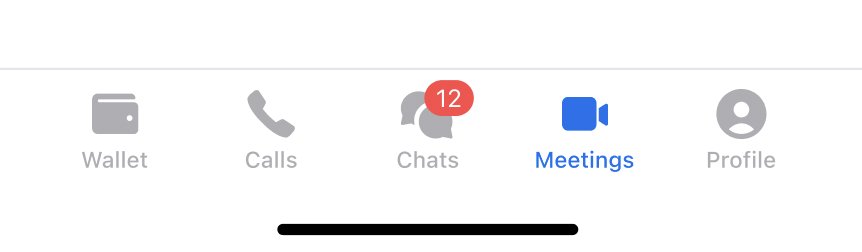 Bottom navigation bar with Wallet, Calls, Chats, Meetings (selected) and Profile